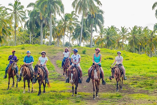 Safari Full Day Outdoor Adventure from Punta Cana - Who should book this Punta Cana safari?