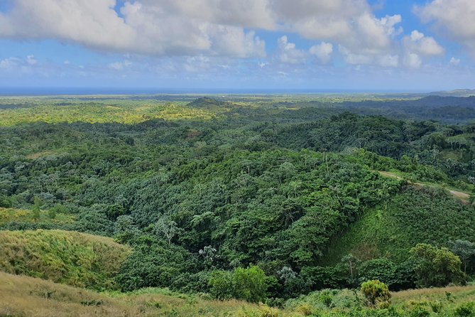 Safari Full Day VIP Experience - Coffee, cocoa, cigars, and the Dominican table