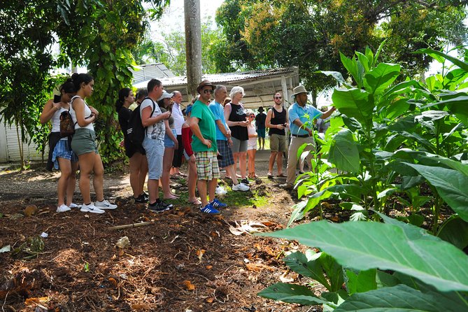 Safari Supreme Full Day Outdoor Adventure Punta Cana - Cacao, coffee, coconut oil, and cigars