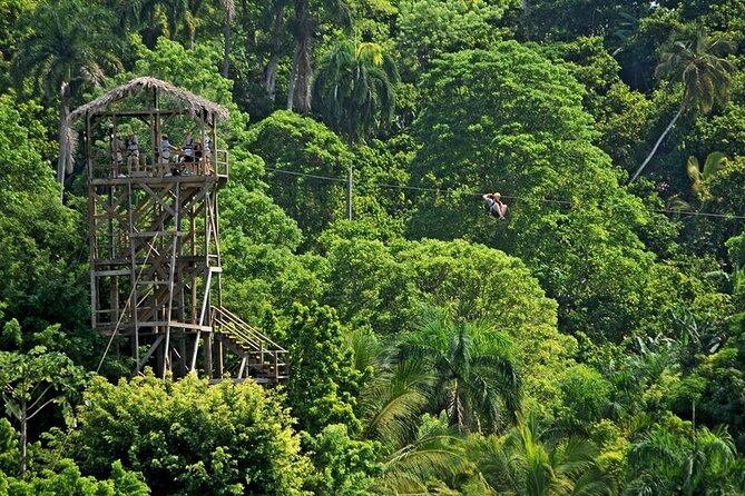 Safari Tour in Punta Cana todo el dia una Aventura inolvidable - Higuey’s public market
