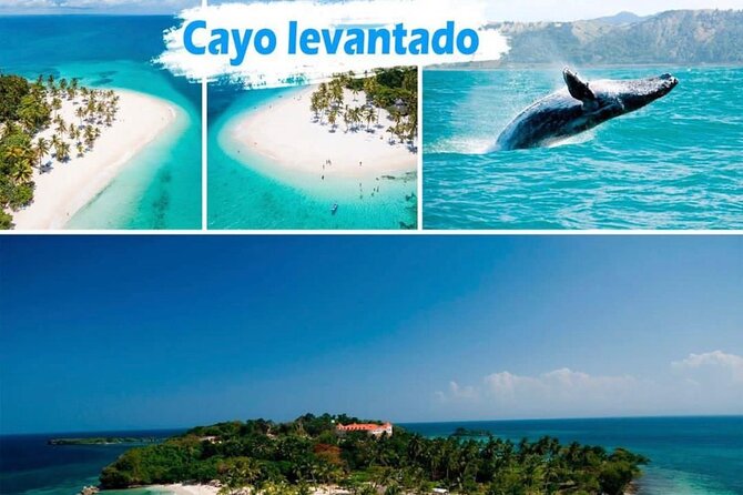 Samana Full Day -baracardi island, horses, lemon waterfall - Key points to know before booking