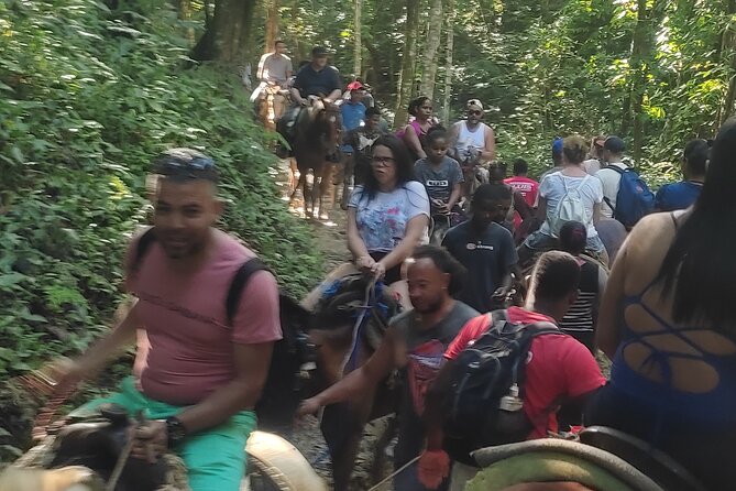 Samana Full Day Waterfall, Safari and Beach - Group size, timing, and comfort