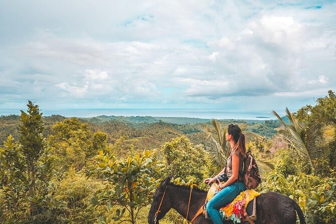 Samaná Whale Watching, waterfall & Cayo Levantado Adventure - Practical advice for a smoother day