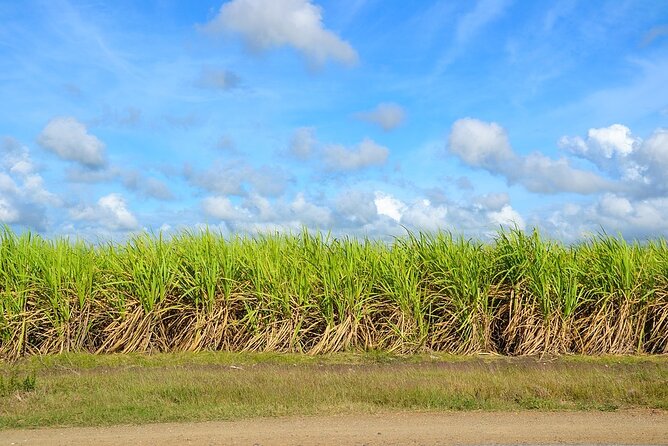 Santo Domingo City Tour From Punta Cana With Pick Up - What to bring and how to prepare