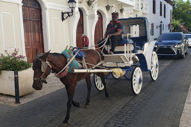 Santo Domingo City Tours Full Day From Punta Cana - The guide can shape the whole day