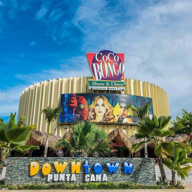 Santo Domingo: Panoramic tour to Punta Cana with Buggy Ride - What this Santo Domingo to Punta Cana day really offers