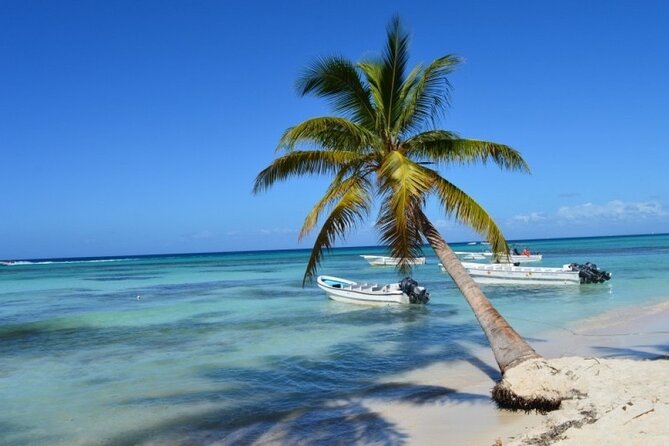 Saona Catamaran Cruise with Lunch and Natural Swimming Pool - Palmilla Natural Pool: the most relaxing water stop
