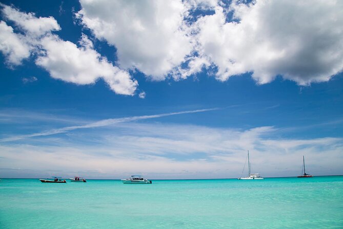 Saona Catamaran Cruise with Lunch and Natural Swimming Pool - What the $75 price really covers