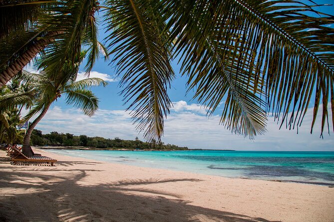 Saona Catamaran Cruise with Lunch and Natural Swimming Pool - Practical advice for a smoother day