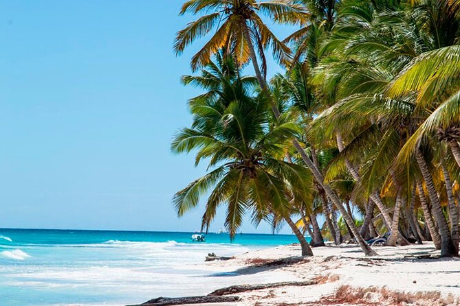 Saona Catamaran Cruise with Lunch and Natural Swimming Pool - Bayahibe Port and the first look at the Caribbean