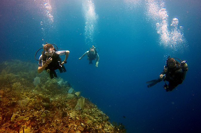 Saona Diving - What the underwater stops offer