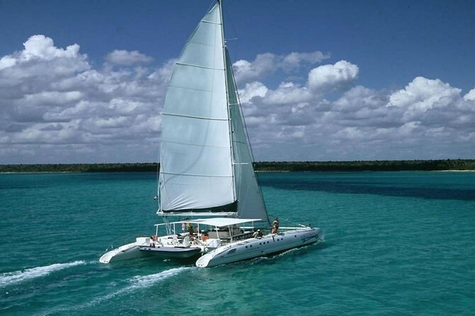 Saona Island Adventure From Punta Cana With Lunch and Transportation - Why Saona makes a strong Punta Cana day trip