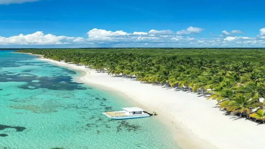 Saona Island All Inclusive Tour - Saona Island is the reason to go