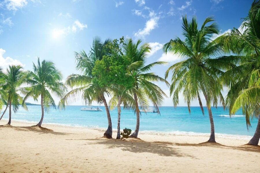 Saona Island All Inclusive Tour - Lunch and the open bar keep things simple