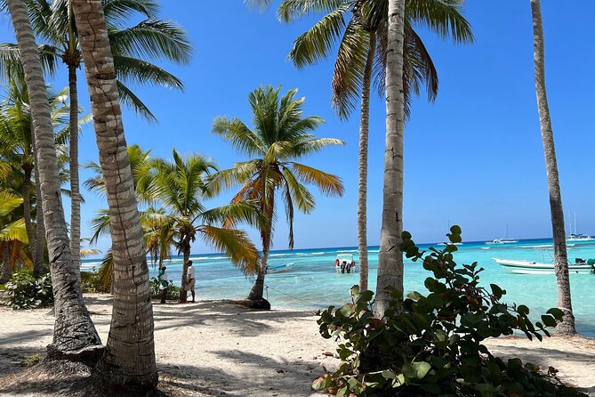 Saona Island and Chavon River Tour with Lunch and Drinks - Marina Casa de Campo and the Caribbean setting