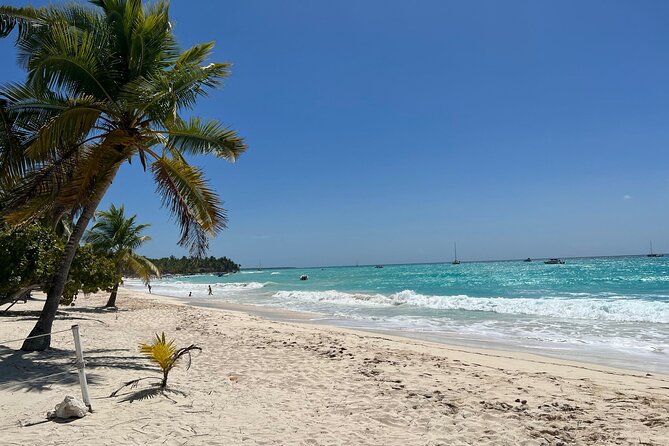 Saona Island and Chavon River Tour with Lunch and Drinks - Eastern National Park and the natural pools