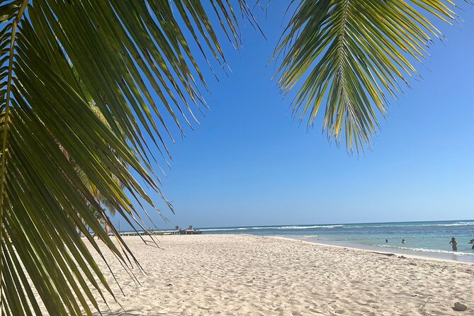Saona Island and Chavon River Tour with Lunch and Drinks - The speedboat tradeoff