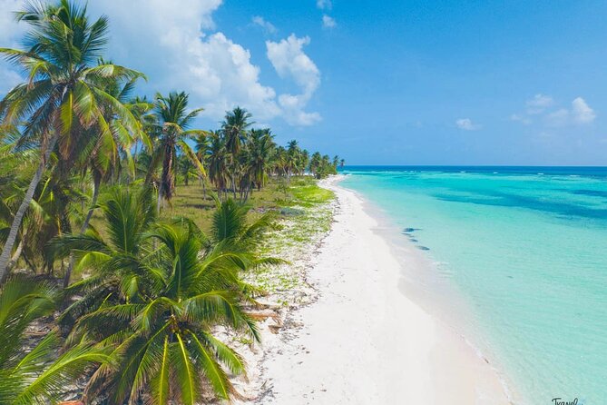 Saona Island Caramaran Adventure from Punta Cana With Lunch - Booking timing, cancellation, and a sensible plan