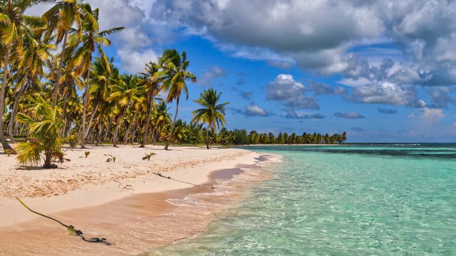 Saona Island: Catamaran Excursion with Lunch and Drinks - Saona Island begins with a long travel day