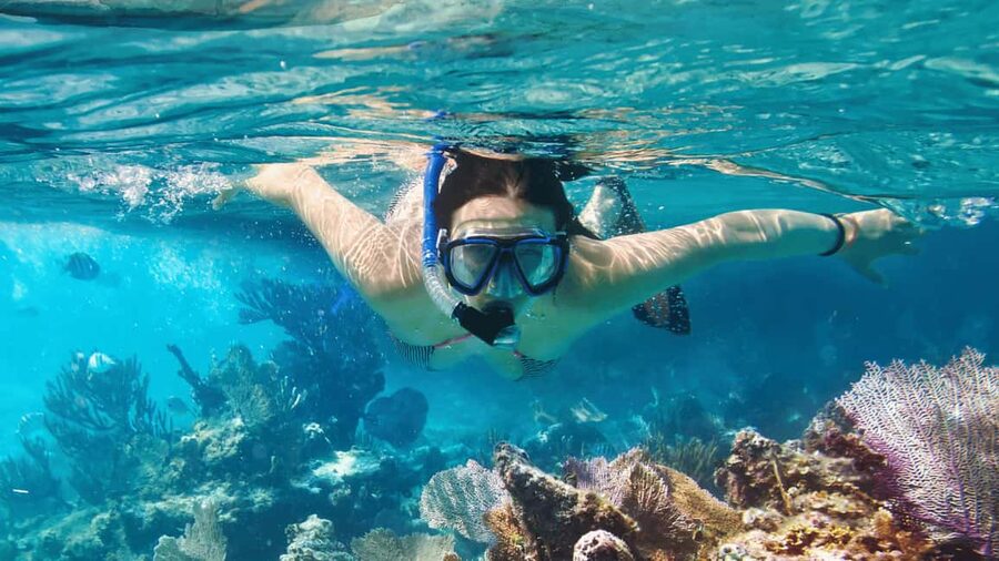 Saona Island: Catamaran Excursion with Lunch and Drinks - Is $60 a fair deal?