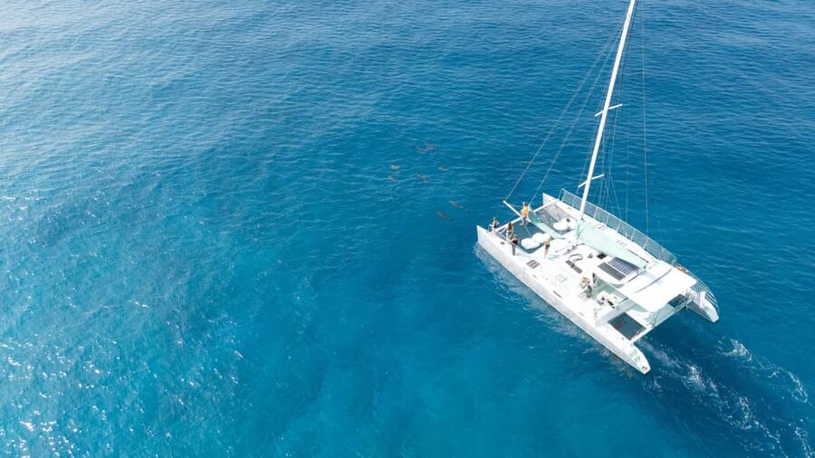Saona Island: Catamaran Excursion with Lunch and Drinks - Who should choose this Saona trip?