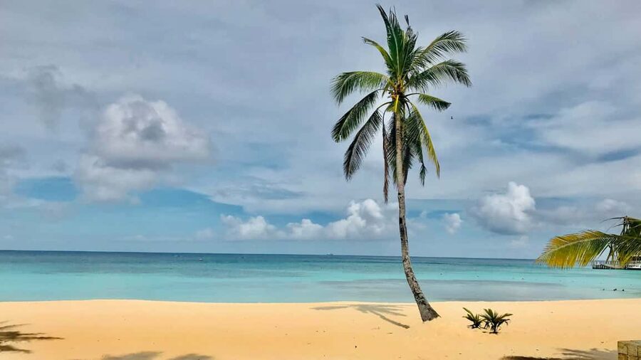 Saona Island: Catamaran Excursion with Lunch and Drinks - Should you book it?