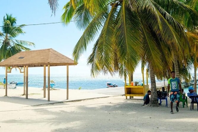 Saona Island Catamaran For Small Group Hotel Pick Food Drink - The natural pool and starfish stop