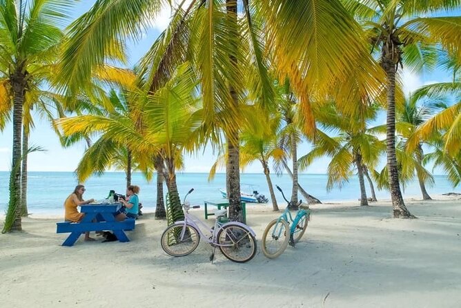 Saona Island Catamaran For Small Group Hotel Pick Food Drink - Weather, safety, and comfort