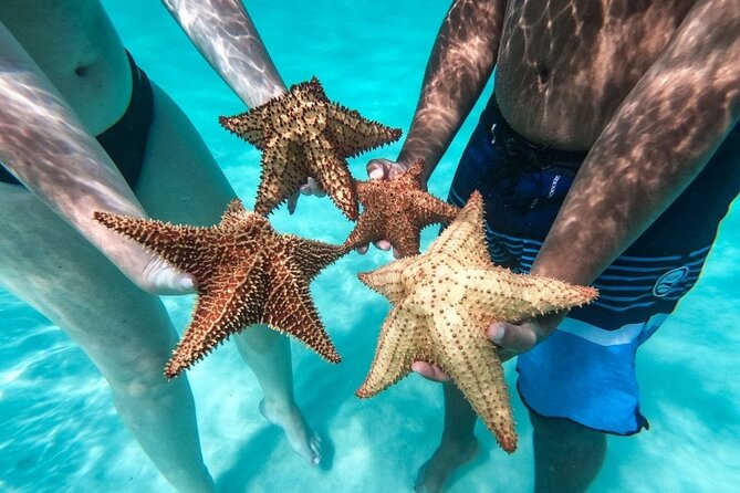Saona Island Day Tour - From Punta Cana to Bayahibe at 7:30 am