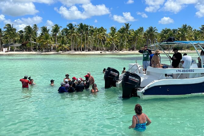 Saona Island Day Tour - Saona Island for about four hours