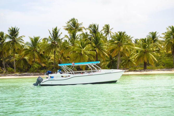 Saona Island Day Trip - Lunch, drinks, and the real value of $85