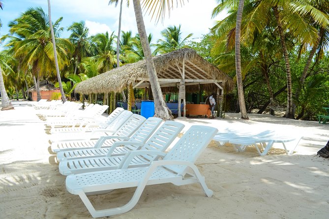 Saona Island Day Trip - How clearly the day is explained