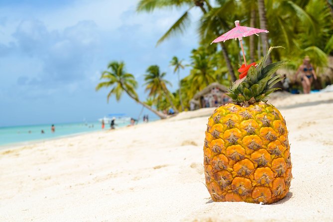 Saona Island Day Trip - Booking timing, weather, and cancellation