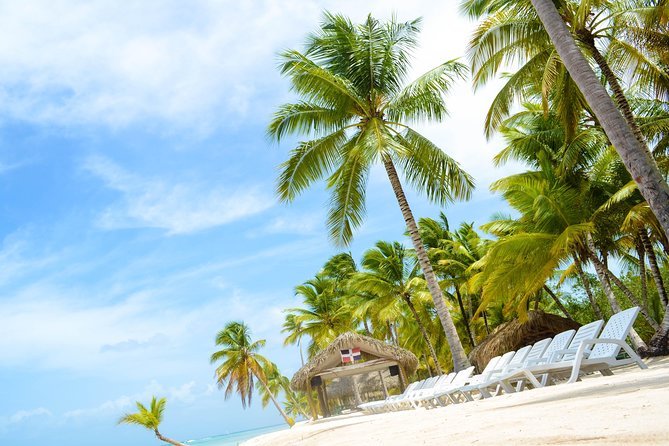 Saona Island Day Trip - Should you book this Saona Island tour?