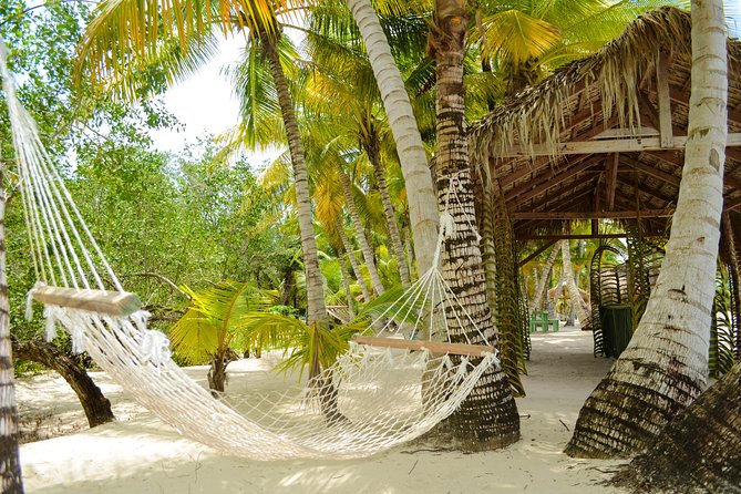Saona Island Day Trip - FAQ