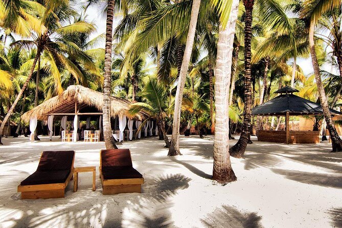Saona Island Day Trip and Cruise from Punta Cana - How the group size shapes the experience