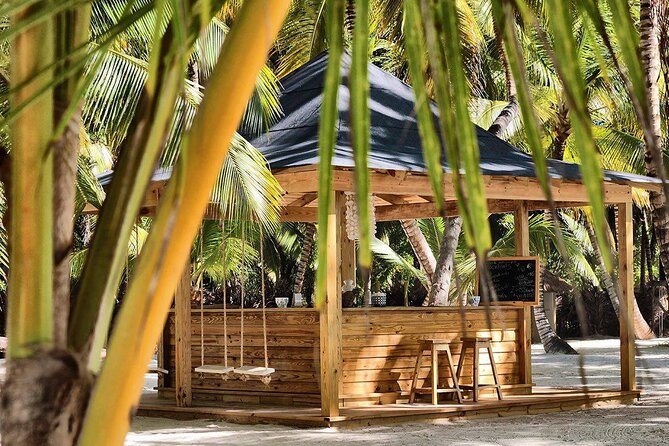 Saona Island Day Trip and Cruise from Punta Cana - Pickup problems deserve serious attention