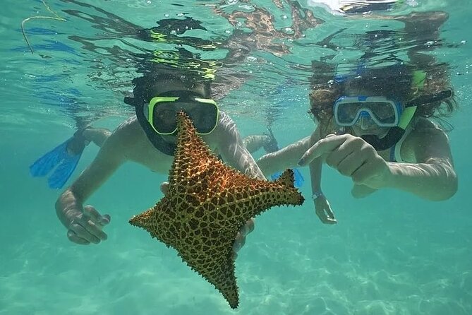 Saona Island Day Trip From Punta Cana with Lunch and Open Bar - Saona Island is beautiful, but the road takes patience