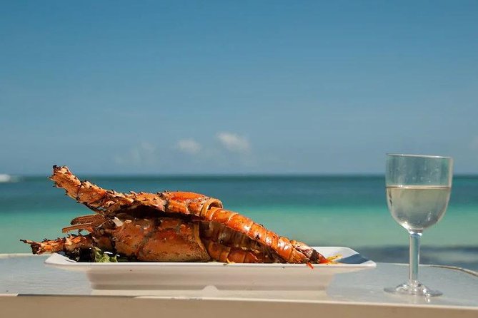 Saona Island Day Trip + Lobsters Included - Key points to know before booking