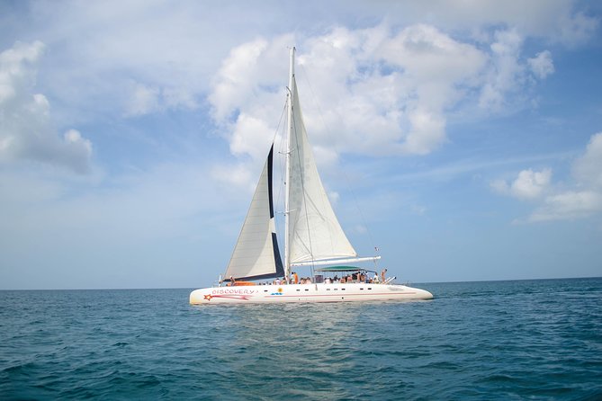 Saona Island Day Trip + Lobsters Included - Saona Island: two hours of sand and sea