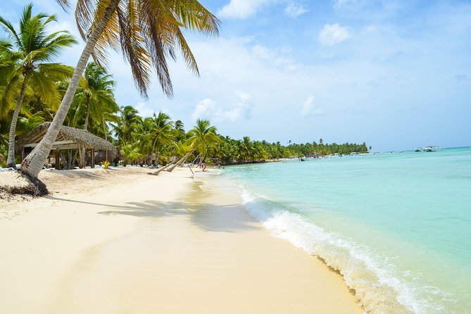 Saona Island Day Trip + Lobsters Included - Playa Palmilla’s natural swimming pool