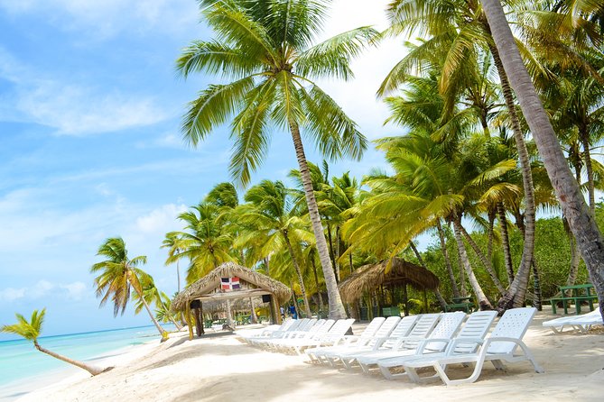 Saona Island Day Trip + Lobsters Included - Lunch, drinks, and the lobster question