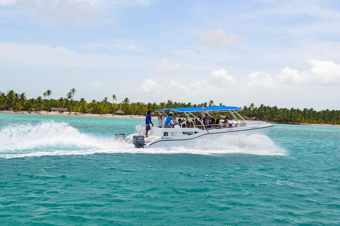 Saona Island Day Trip + Lobsters Included - What the mixed service means for your day