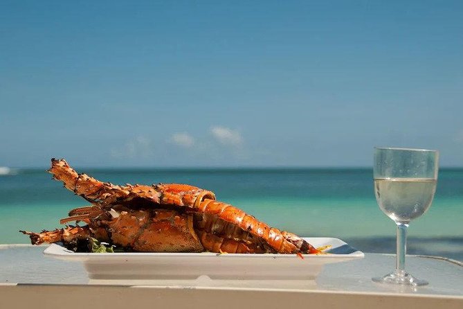 Saona Island Day Trip + Lobsters & Wine Included - Key points to know before booking