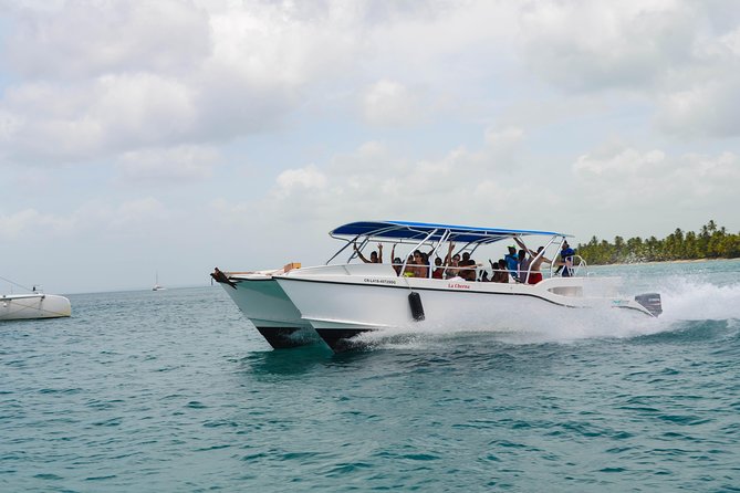 Saona Island Day Trip + Lobsters & Wine Included - Two hours on Saona Island