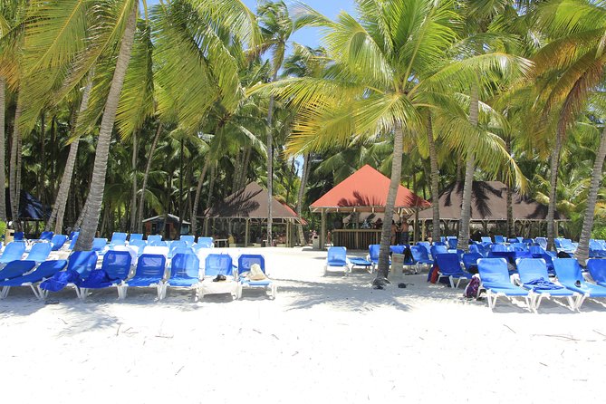 Saona Island Excursion From Punta Cana - Three hours on Saona Island, in theory
