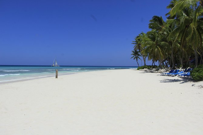 Saona Island Excursion From Punta Cana - Lunch, open bar, and the food question