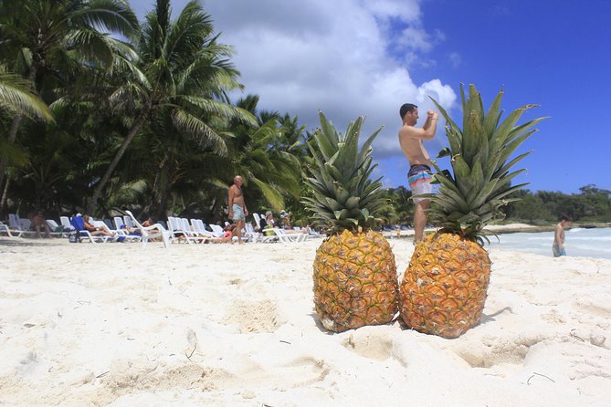 Saona Island Excursion From Punta Cana - Guides make a real difference