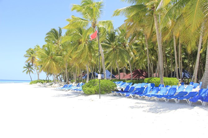 Saona Island Excursion From Punta Cana - What to pack and how to prepare