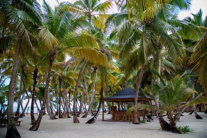 Saona Island Full Day Adventure From Punta Cana & Bavaro - Parasailing, snorkeling, and time on the water